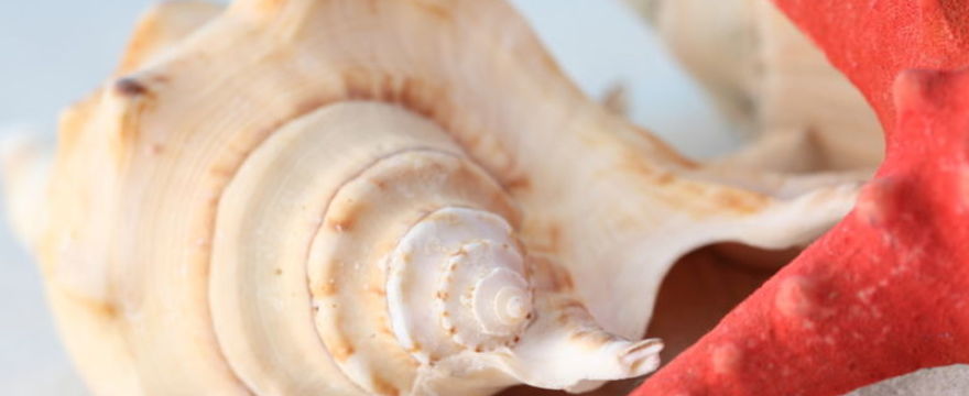 Wypoczynek z dziećmi nad morzem: jak zaplanować, gdzie wyjechać?