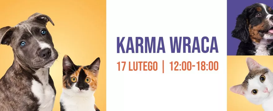 Karma wraca! Wspieraj zwierzaki z Promenadą!