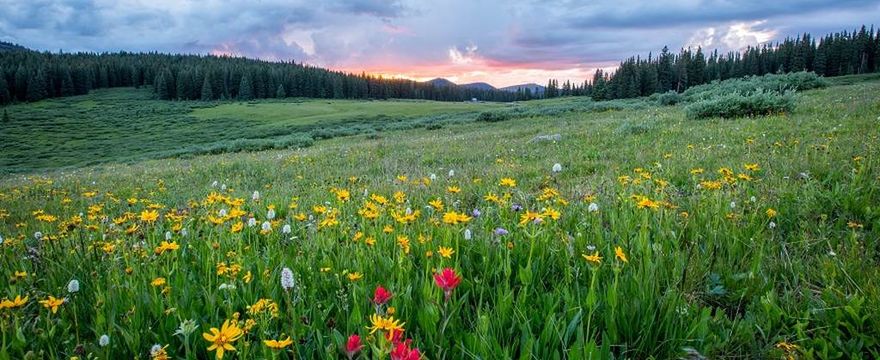 Kiedy jest pierwszy dzień wiosny 2022?